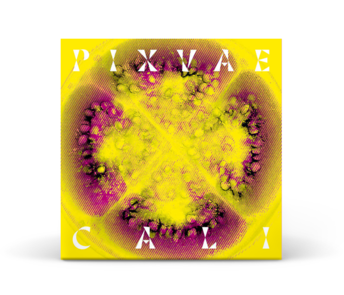 Disque CD Cali de Pixvae