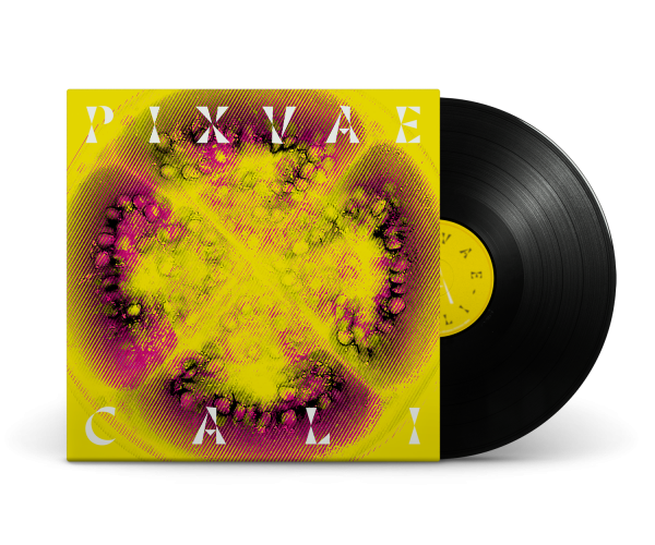 Vinyle - Cali - PIXVAE