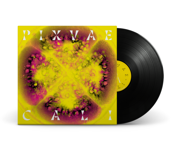 Vinyle - Cali - PIXVAE